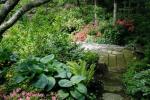 Hosta nella progettazione del paesaggio: caratteristiche di cura e composizioni armoniose per il giardino